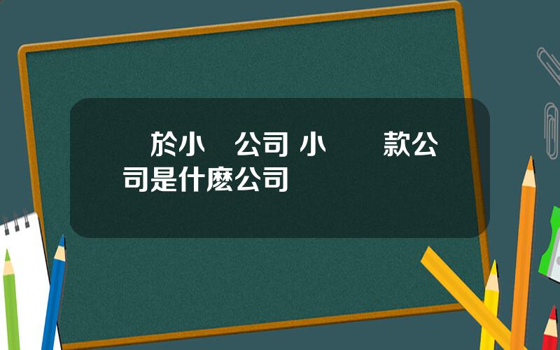 關於小貸公司 小額貸款公司是什麽公司